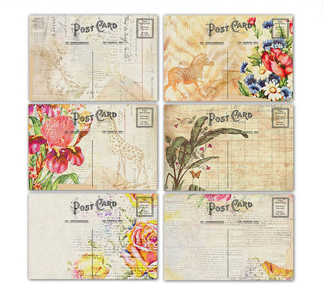 Travel postcards Safari Floral KBandFriends